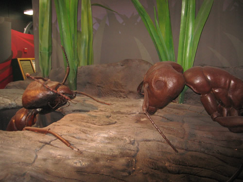 Giant Ants