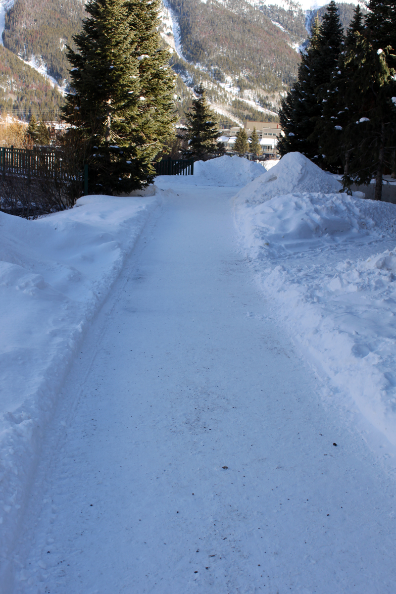Snowy Path