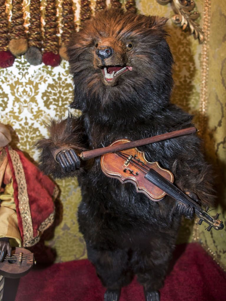 Bear Playing a Violin