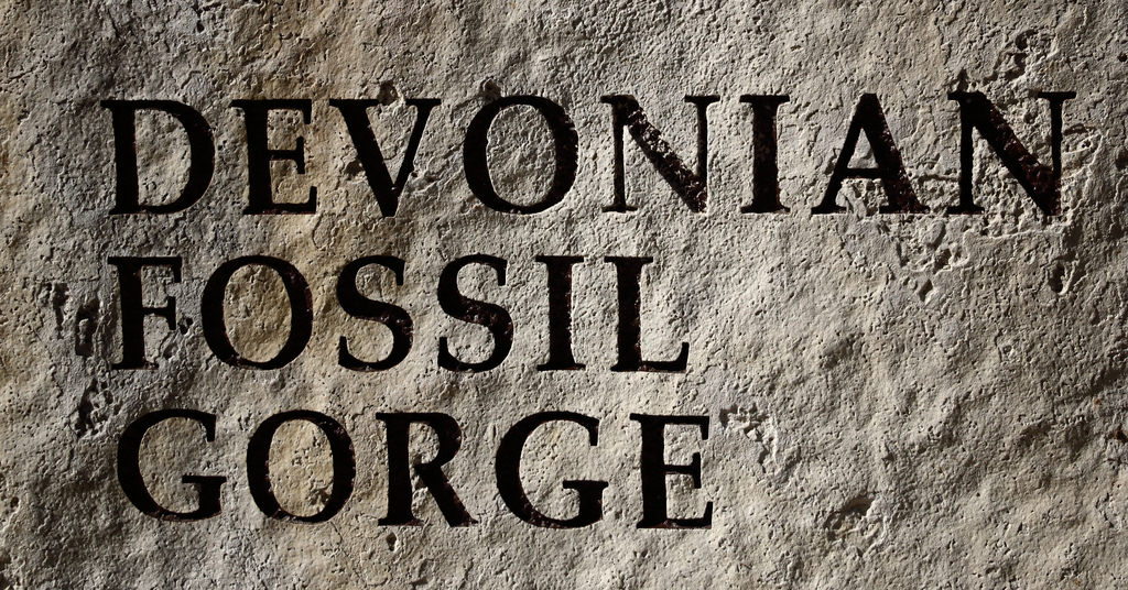 Devonian Fossil Gorge