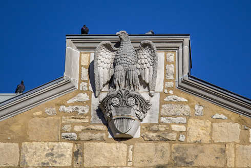 Pigeons and the Eagle