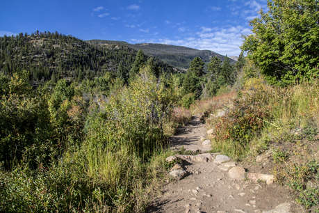 Flat Trail