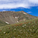 Paintbrush on the Hillside