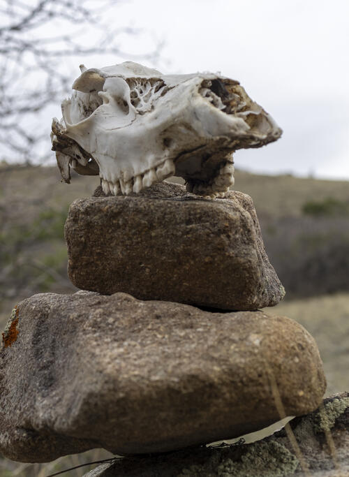Turn at the Skull Cairn